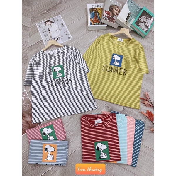 ÁO THUN COTTON SỌC NỮ