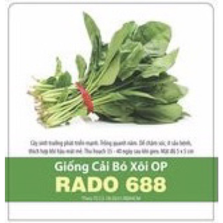 Hạt Giống Bó Xôi OP 688 (20gr)