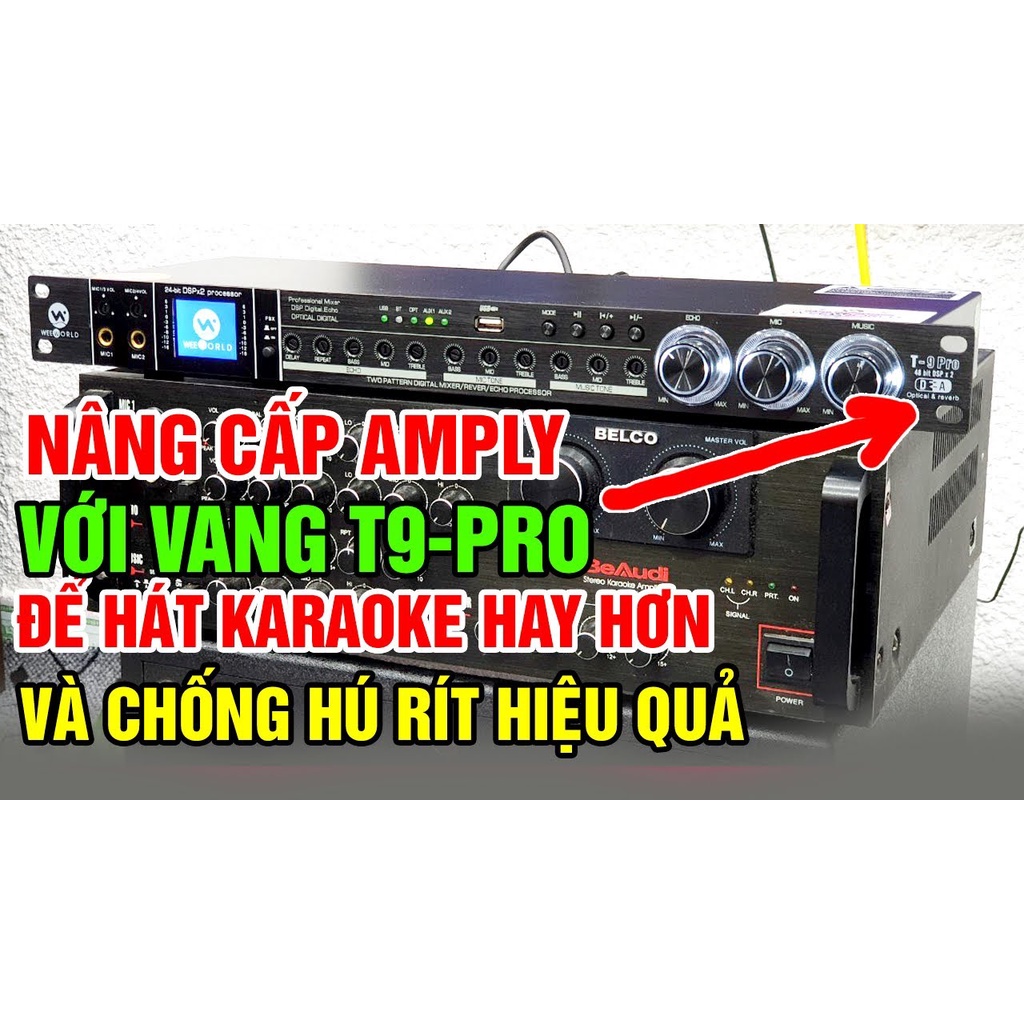 Vang Weeworld T9 Pro