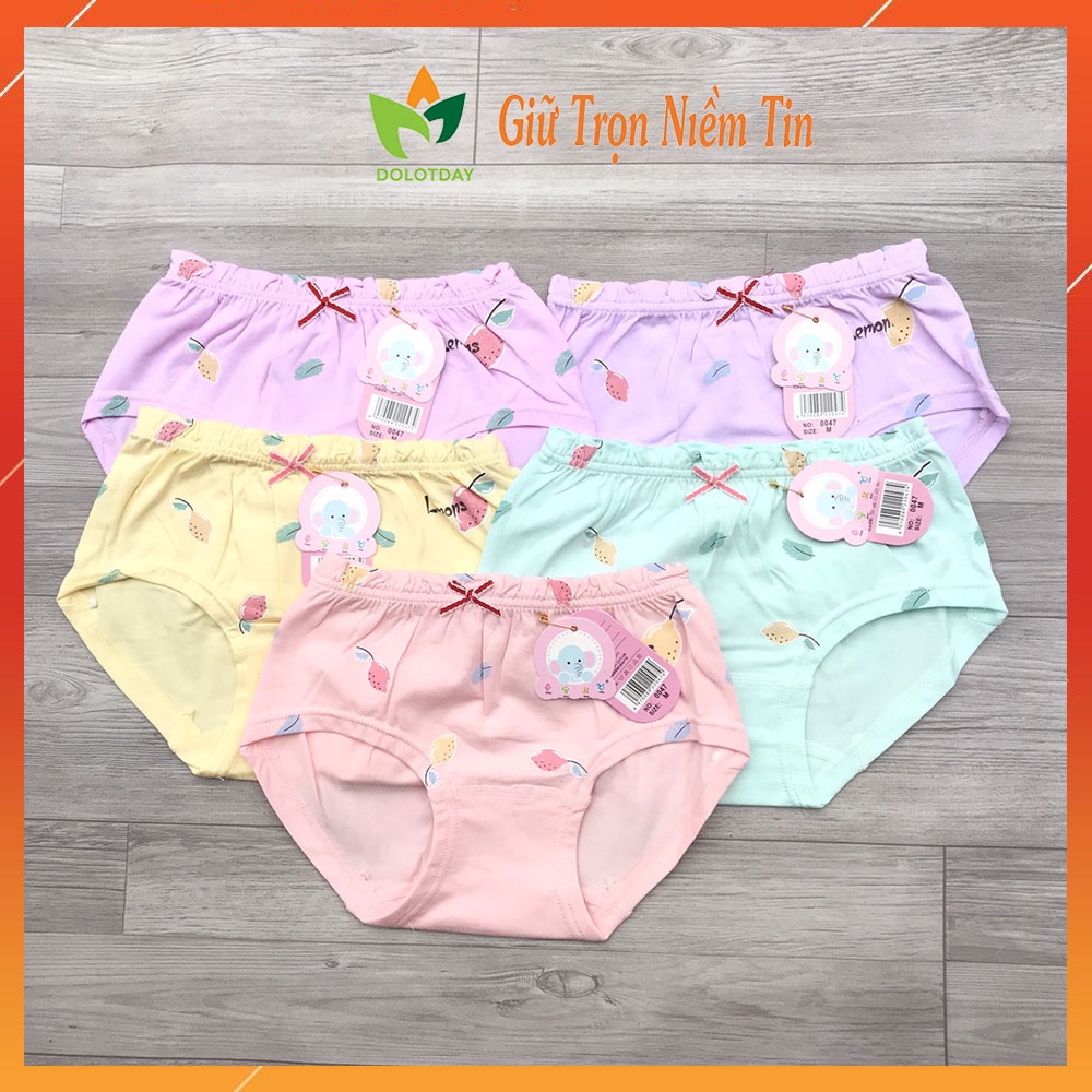 [SET 5] Quần lót tam giác cotton kháng khuẩn cho bé gái DOLOTDAY, Quần chíp trẻ em dễ thương (Mẫu ngẫu nhiên)