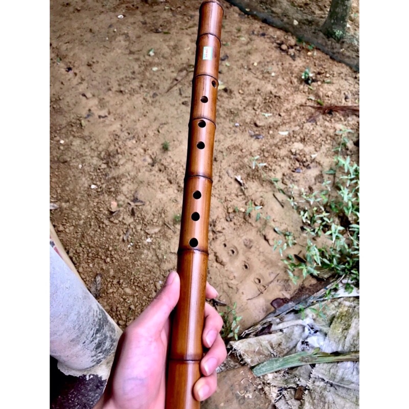 Động Tiêu Trúc Hun Khói Tiêu C4 Tiêu Bát Khổng