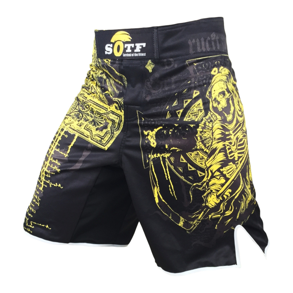 Mới Quần Short Thể Thao Tập Võ Muay Thai Cho Nam