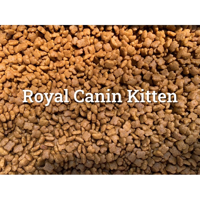 Hạt thức ăn cho mèo con | ROYAL CANIN Kitten 36 | 1kg