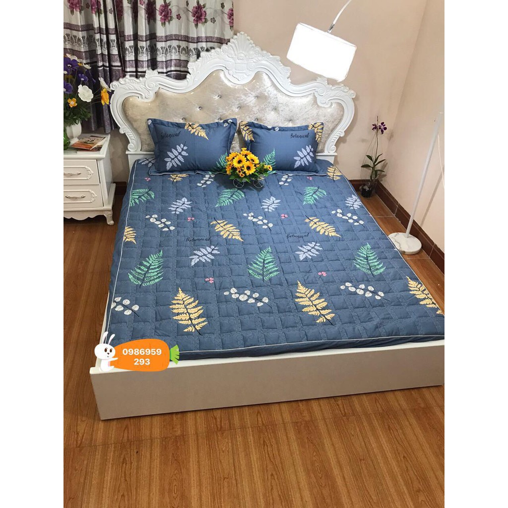 [VÔ ĐỊCH RẺ] SET HÈ COTON TRẦN CHUN HÀN M6 - CHẤT LIỆU NHẬP KHẨU