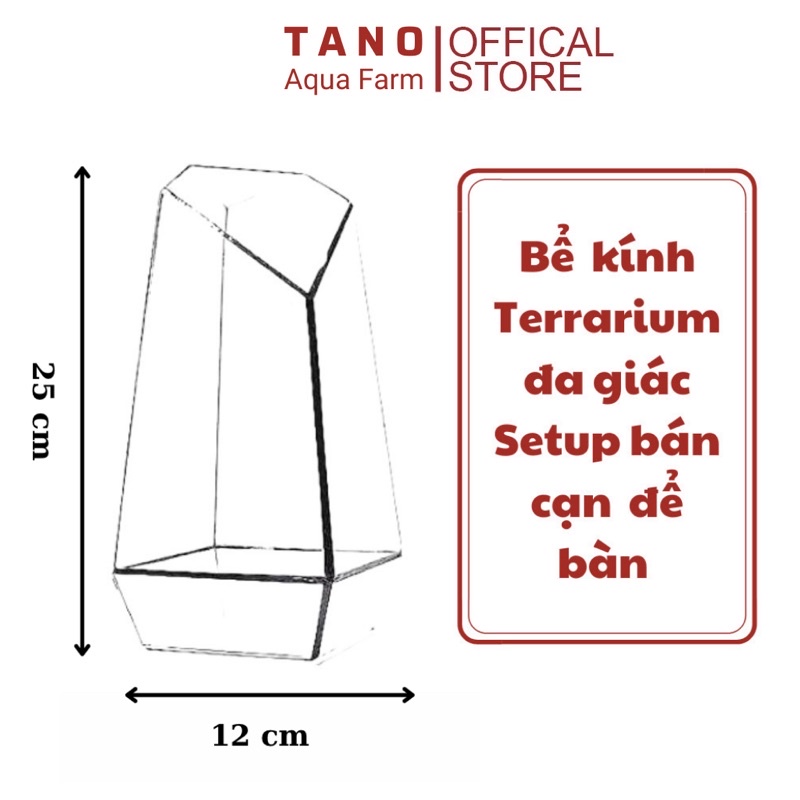 Bể terrarium đa giác trang trí bán cạn để bàn kích thước D12xR12xC25