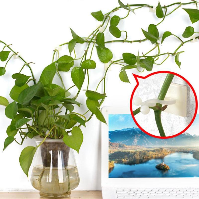 Bộ 10 kẹp giữ dây leo dán tường tiện lợi