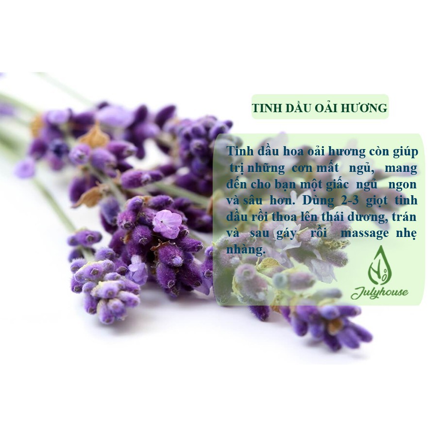 Tinh dầu Oải Hương thơm phòng, thư giãn Julyhouse 10ml
