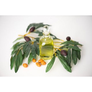 Dầu Jojoba vàng (JOJOBA OIL) - 50ml / 100ml - Nguyên liệu mỹ phẩm