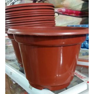 Chậu nhựa trồng hoa rộng 24cm x16cm