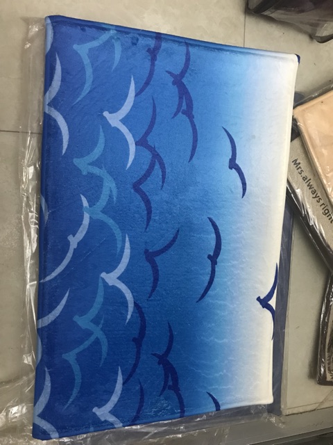 HÀNG MẪU SIÊU ĐẸP- THẢM CHÙI CHÂN 40x 60cm
