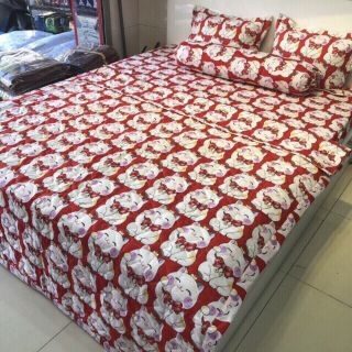 Bộ ga, gối chăn hè poly cotton
