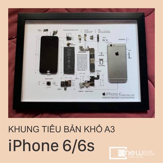 Khung tranh tiêu bản gắn linh kiện iPhone 6/6s - khổ A3