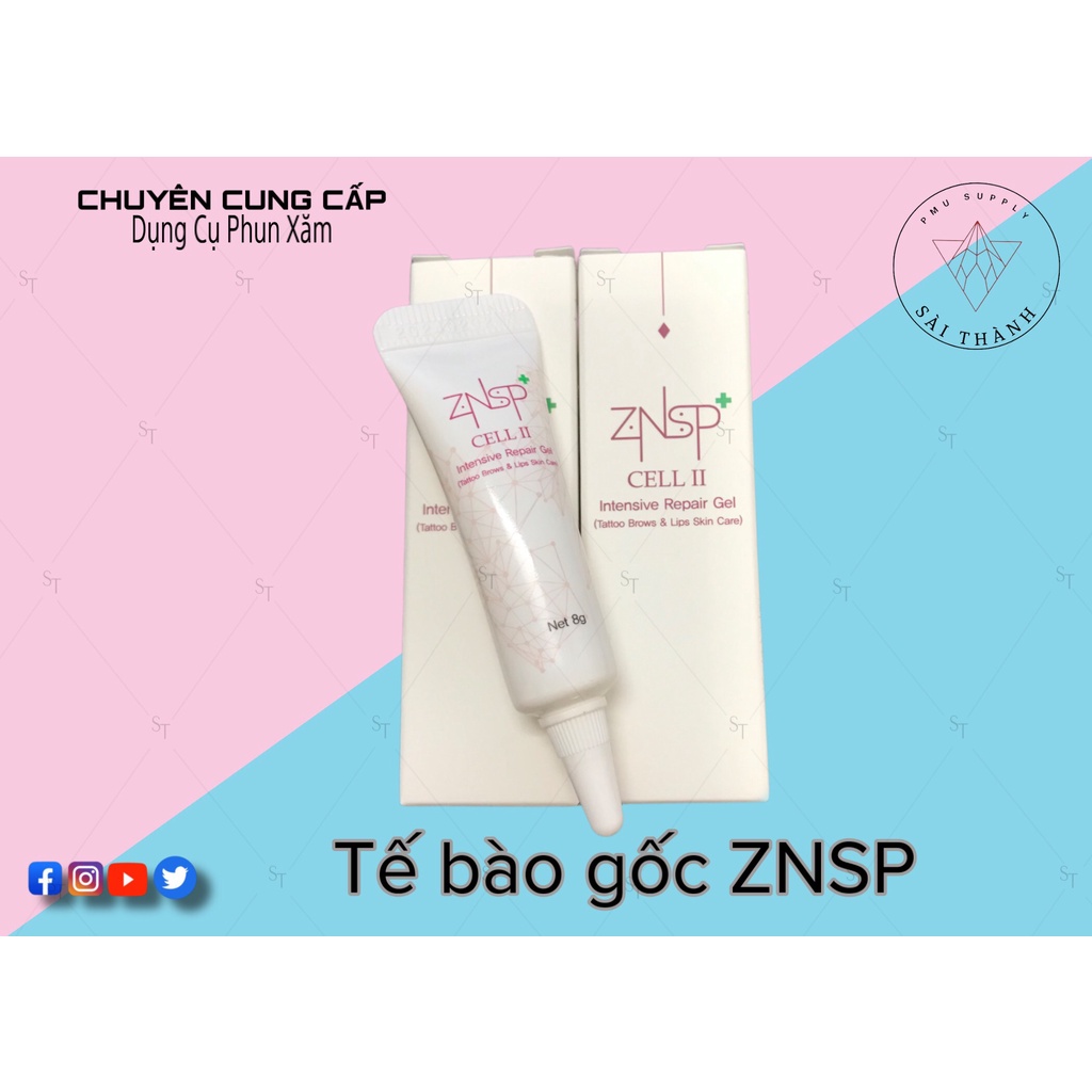 TẾ BÀO GỐC ZNSP HÀN QUỐC CHO MÔI SAU PHUN - ZNSP CELL 2