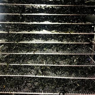 Rong biển cháy tỏi lon 150gr