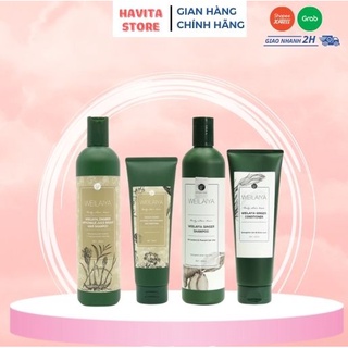 Dầu gội Weilaiya chính hãng ngăn rụng kích thích mọc tóc nhanh từ gừng,hà thủ ô,thảo dược thiên nhiên hợp da đầu khô dầu
