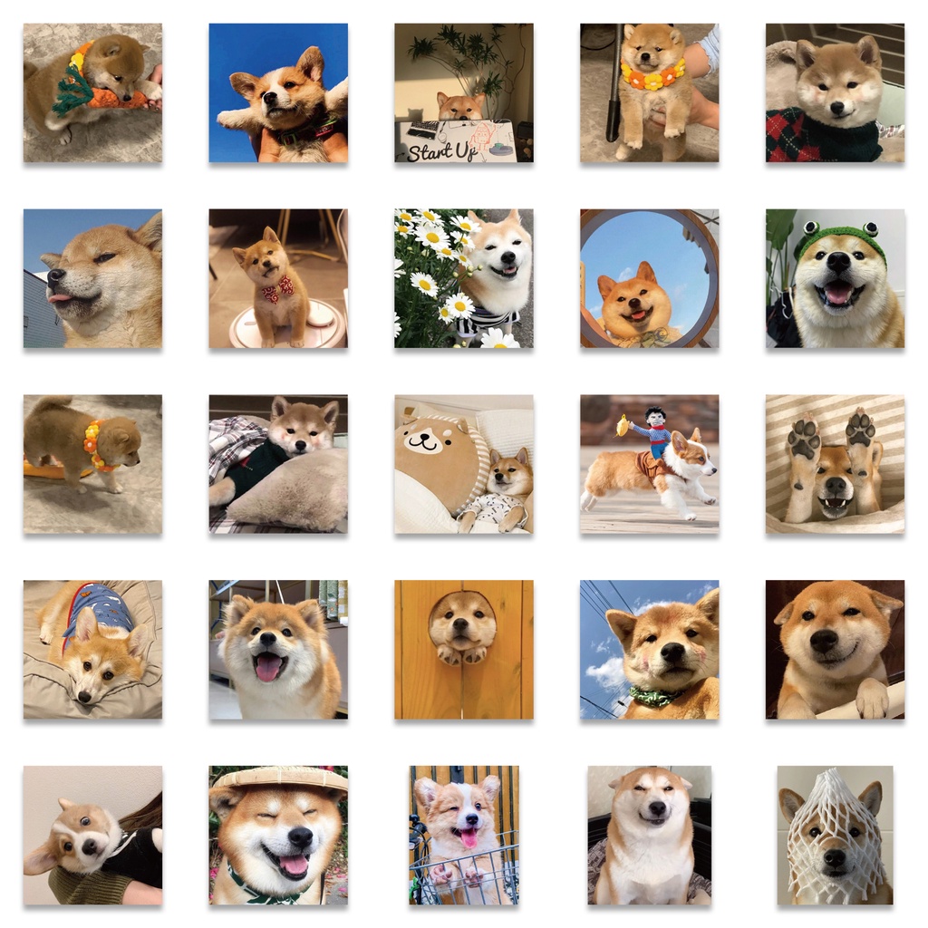 Bộ 55/25/10 Sticker Hoạt Hình Corgi Shiba Dán Laptop
