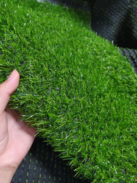 Thảm cỏ nhân tạo độ cao 2cm ( có cắt lẻ theo yêu cầu)