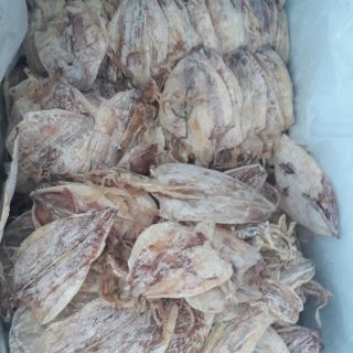 10 con mực khô nhỏ