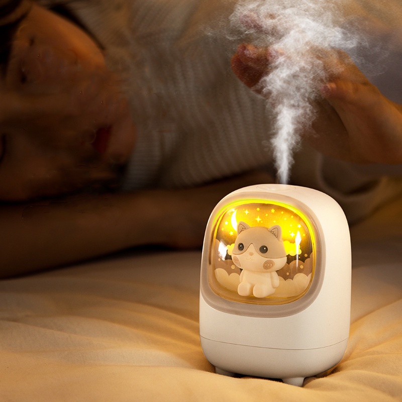 Máy phun sương FNELSE tạo độ ẩm không khí nhỏ xinh 350ml có đèn LED và cáp sạc tiện lợi