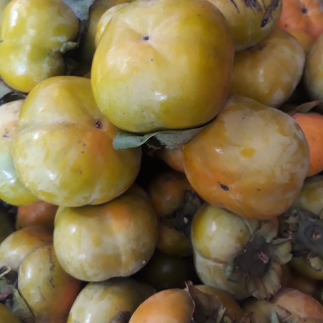 COMBO 5KG  HỒNG SẤY