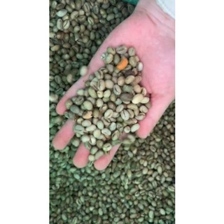 Combo 5kg Cà phê Culi Robusta