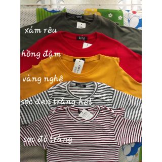 ÁO THUN BODY CỔ TIM CỔ TRÒN
