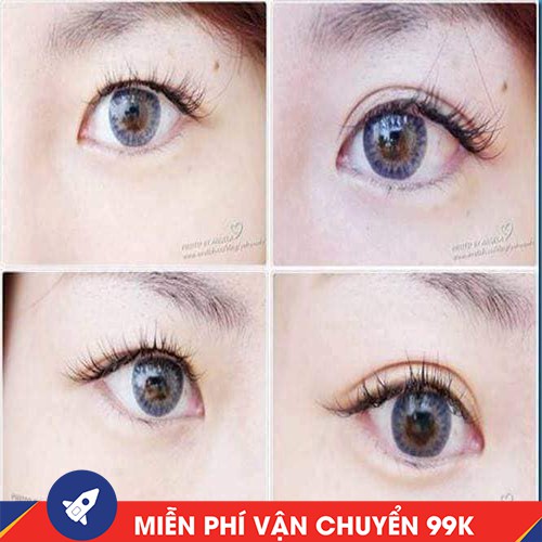 KÍCH MÍ LƯỚI THẦN THÁNH [ 24 đôi]