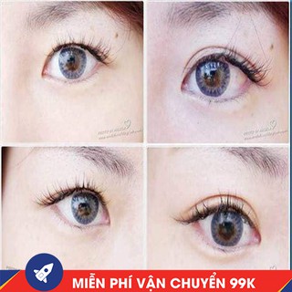 KÍCH MÍ LƯỚI THẦN THÁNH [ 24 đôi]