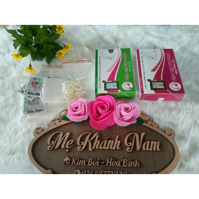 Bộ HONG AM TIEU VIEM chuẩn(gồm 1 hộp kén và 1 hộp xông)