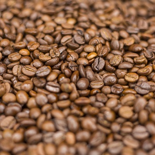 Cà phê Robusta Honey dùng cho pha máy