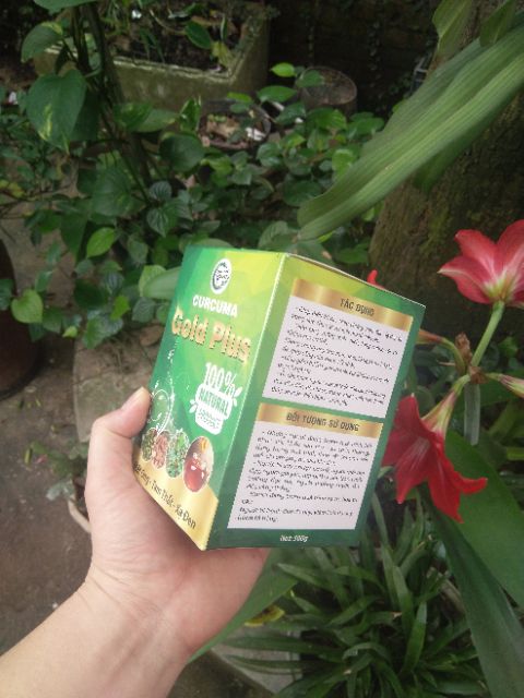 VIÊN NGHỆ -TAM THẤT- XẠ ĐEN THẢO TÂM | BigBuy360 - bigbuy360.vn