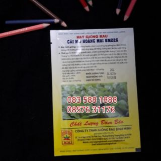 Cải mơ Hoàng Mai
