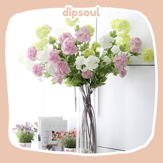 HOA TÚ CẦU / TIỂU TÚ CẦU