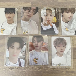 Ảnh photocard official nhóm NCT Dream cafe Hot sauce Mark Renjun Jeno Haechan Jaemin
