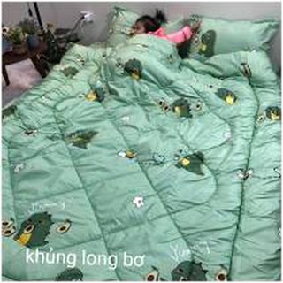 Bộ chăn ga gối hàng cotton