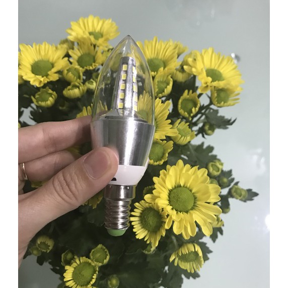 Đèn ớt 5W Đui vặn E14
