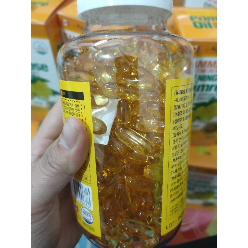 Hoa Anh Thảo Hàn Quốc | BigBuy360 - bigbuy360.vn