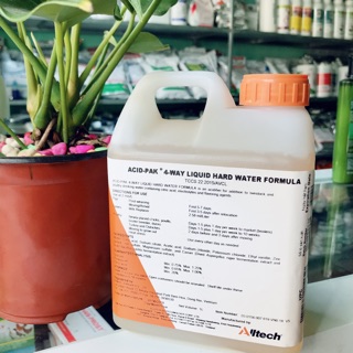 Vỗ béo siêu tốc vật nuôi