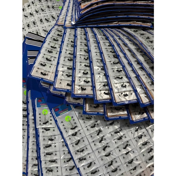Hạt Chặn Câu Cá, Hạt Chặn Phao Câu Đài, Phụ Kiện Câu Cao Cấp
