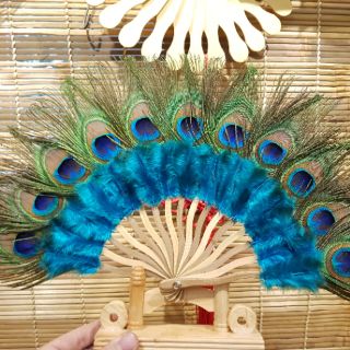 Quạt lông công loại 1