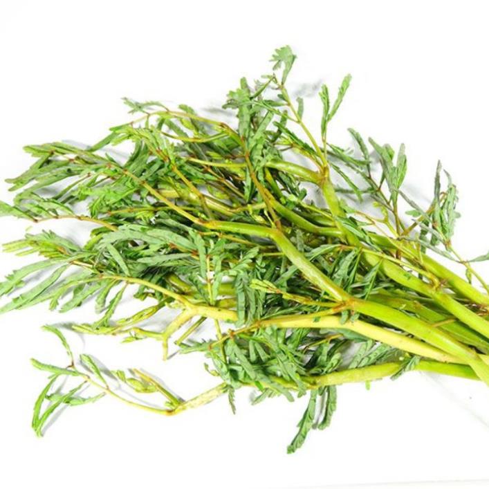Hạt Giống Rau Nhút Rau Nhúc - Gói 1 Gram