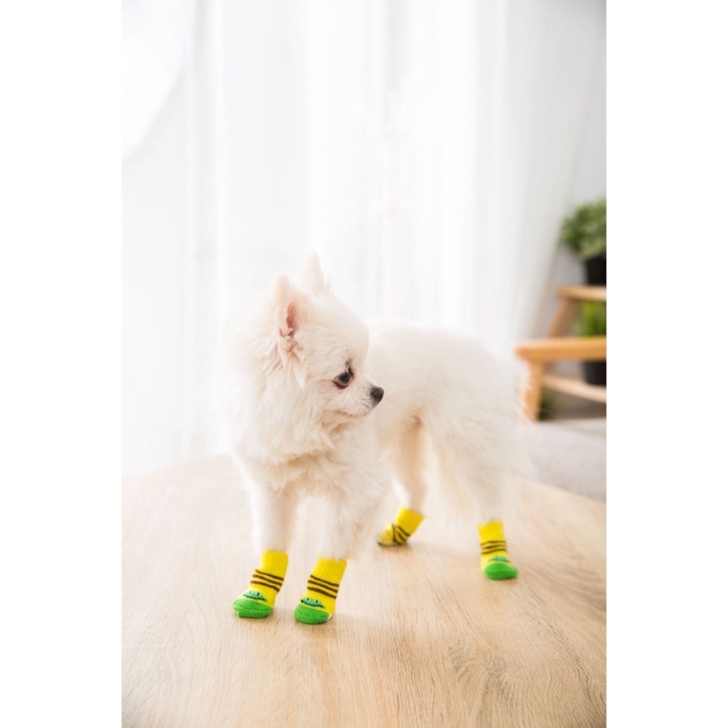 Set 4 vớ dệt kim cotton chống trượt mềm mại cho thú cưng khi đi trong nhà