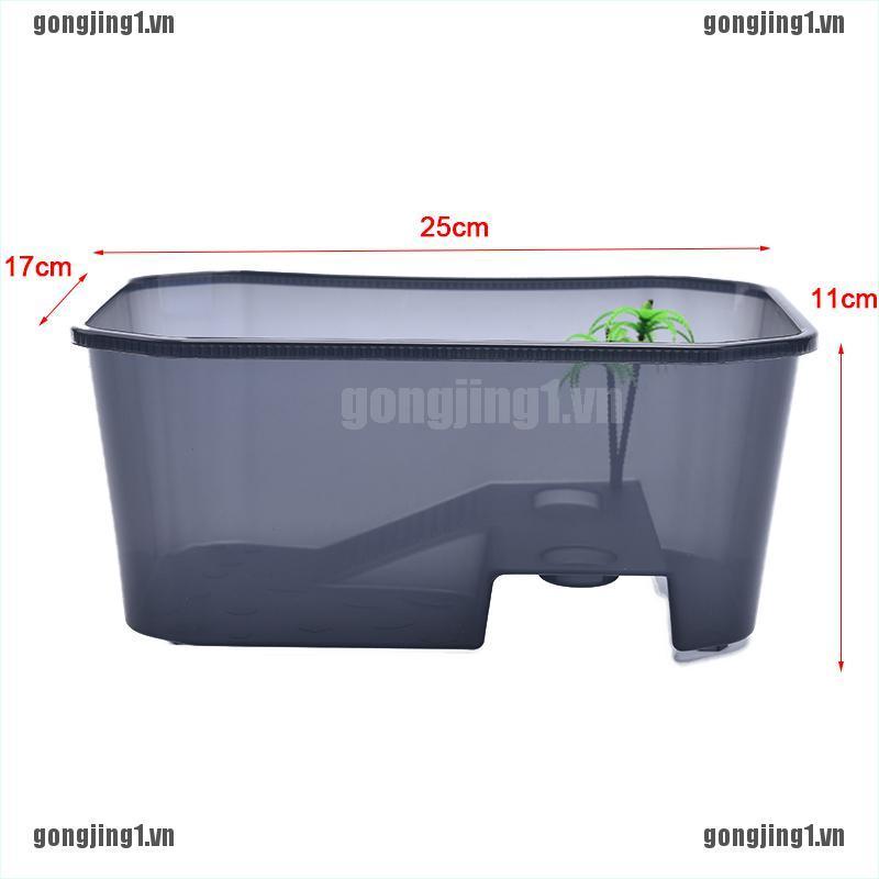 Hộp Nhựa Dùng Nuôi Rùa Tiện Lợi