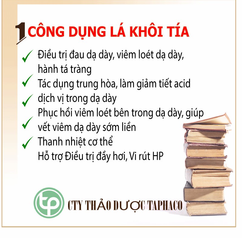 Lá khôi tía khô - Thảo dược Tấn Phát