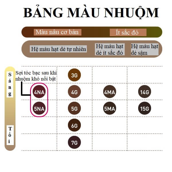 Thuốc Nhuộm Tóc BIGEN Thảo Dược Nội Địa Nhật Bản (5 Loại) 80g