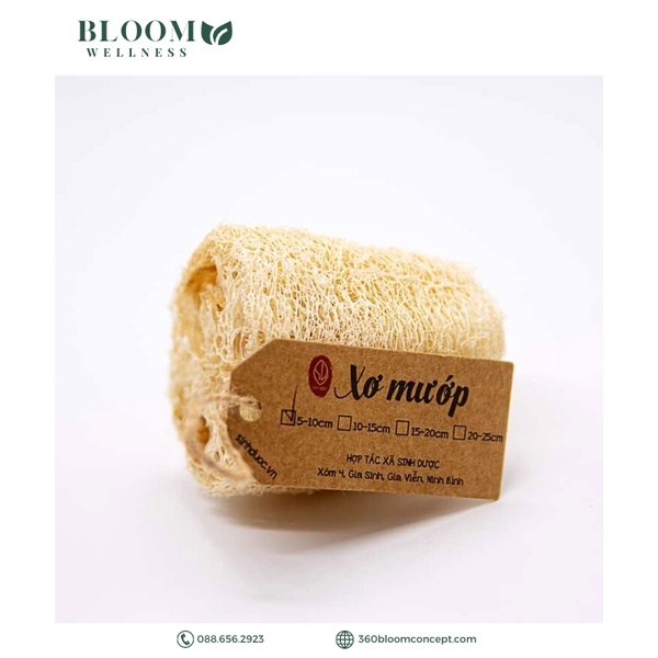 Xơ Mướp Khô Tự Nhiên, Để Tắm, Tẩy Da Chết, Rửa Bát