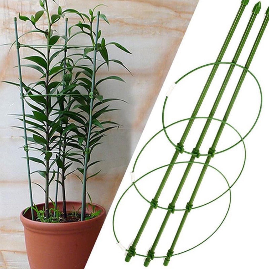 Giá đỡ hoa hồng, hoa leo đa năng kích thước cao 75cm