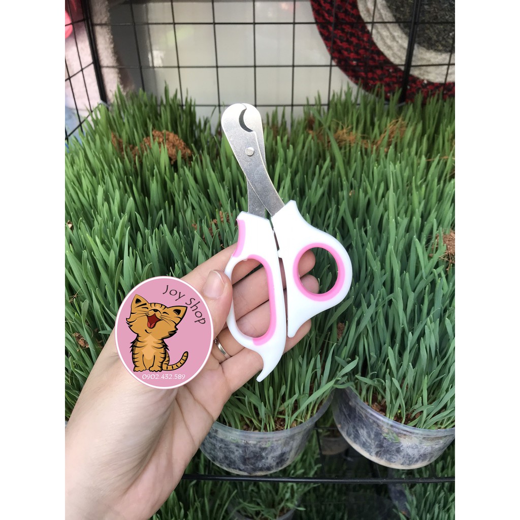 KÉO CẮT MÓNG MÈO