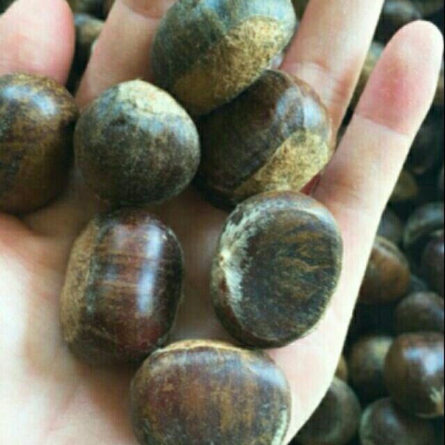 1kg dẻ tươi trùng khánh