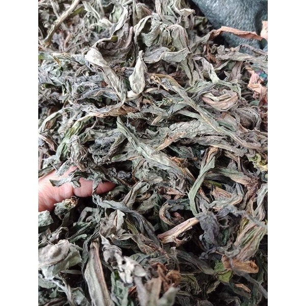 1Kg Cây Bồ công anh khô thơm mới